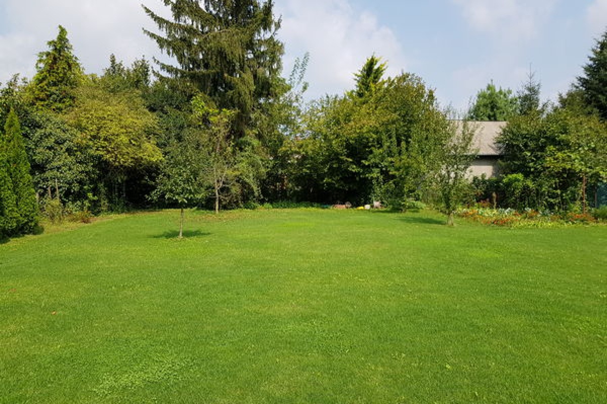 Előtte: Nagykanizsai főkert a munkálatok előtt.