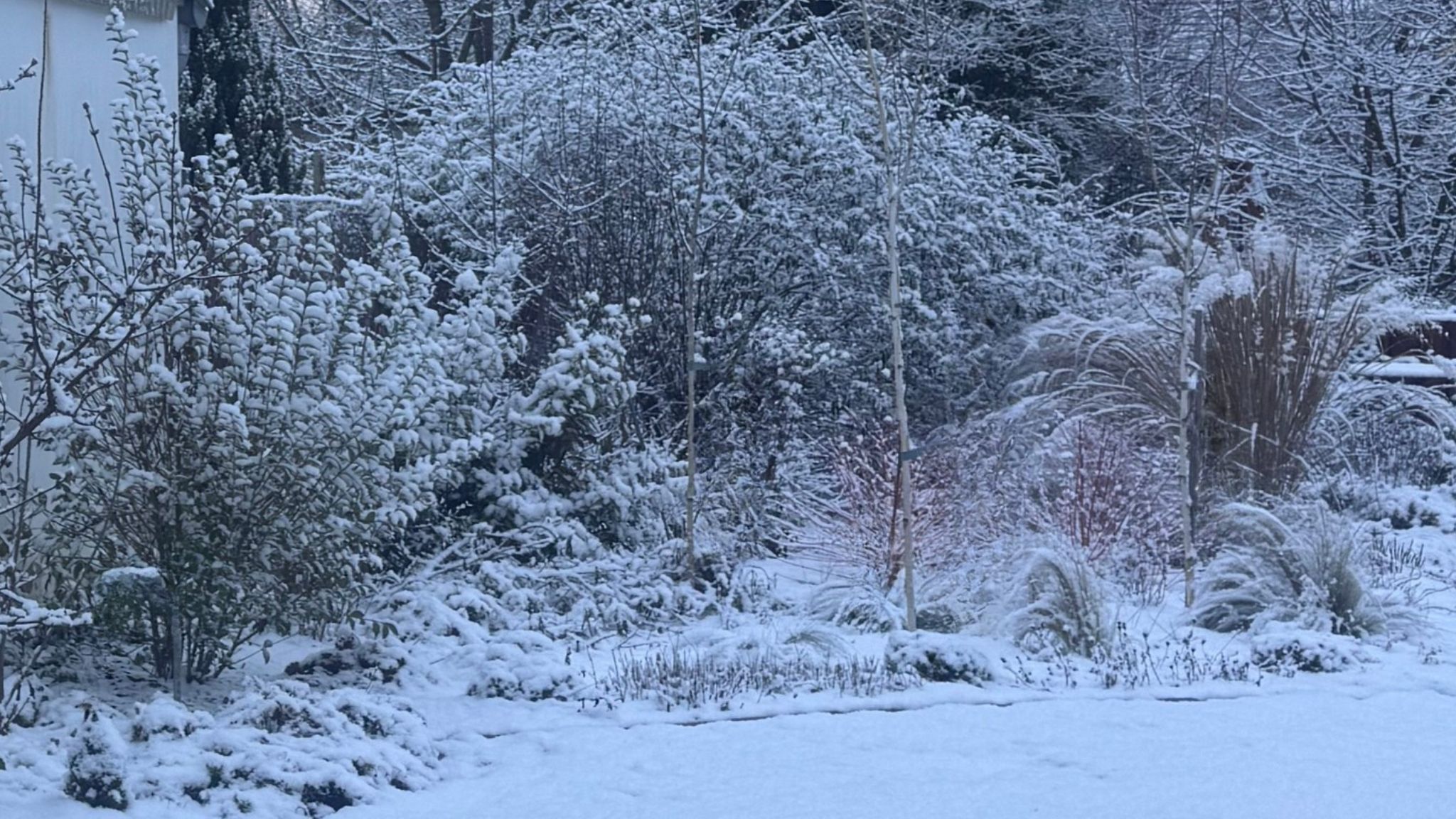 Rég nem látott hideg a kertekben – mit tanulhatunk az idei fagykárokból?